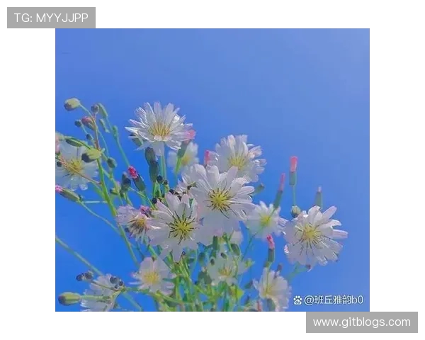 高尚之心照亮人生旅程追求真善美的精神力量与价值观念