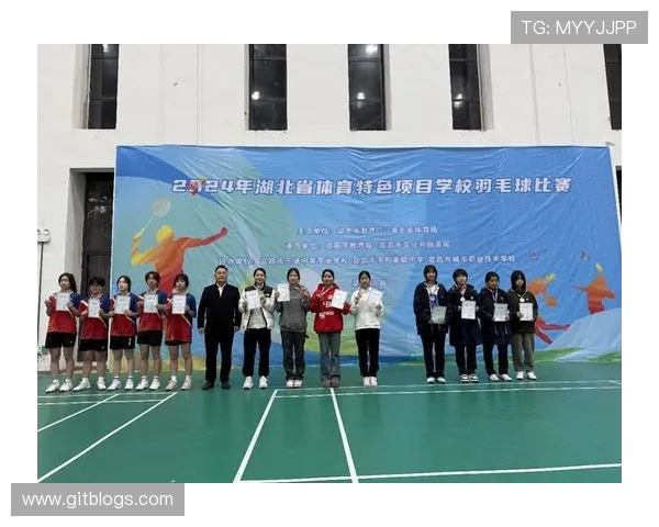 成都羽毛球队进攻策略分析与比赛表现的得失评估